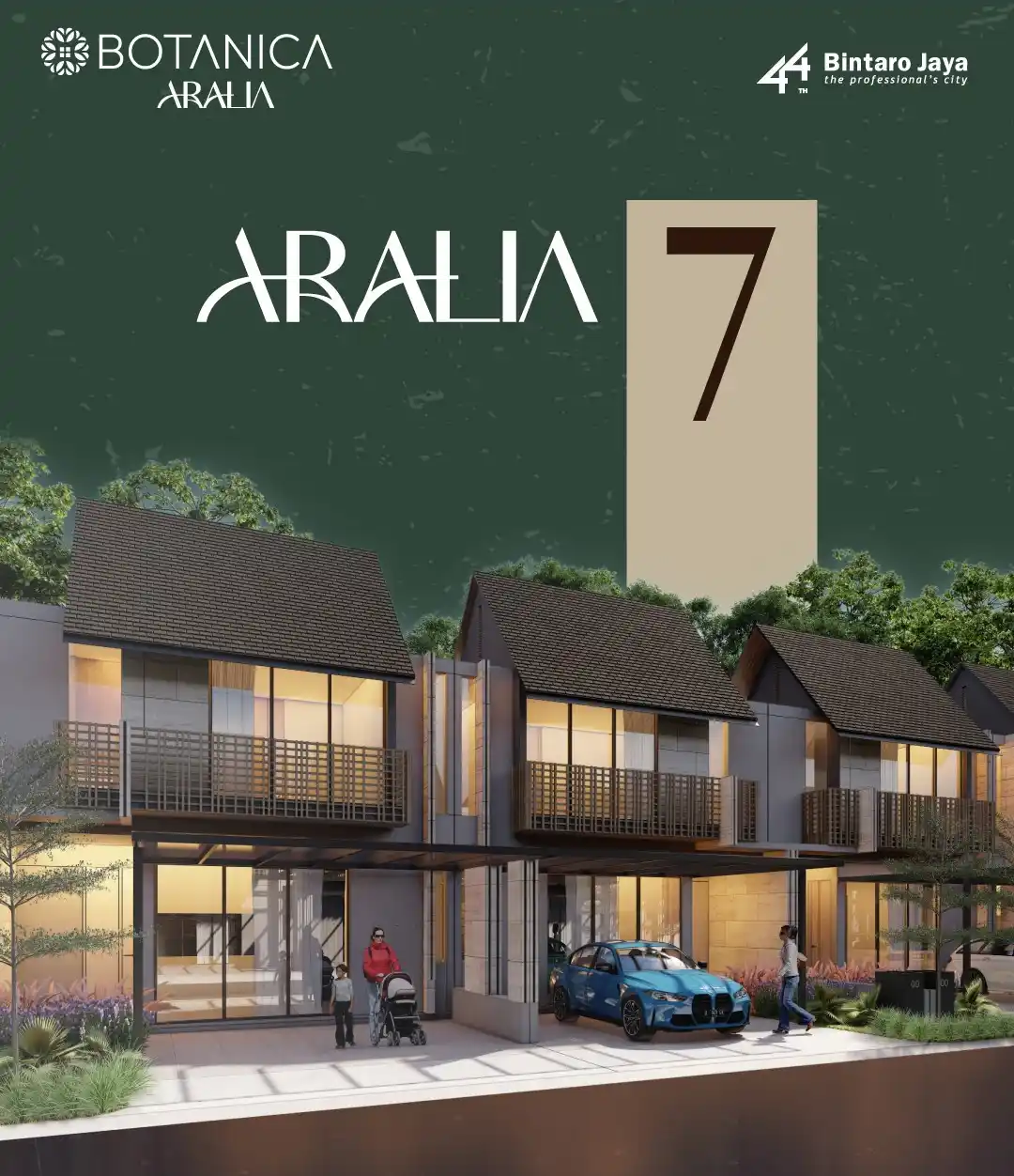 Aralia 7